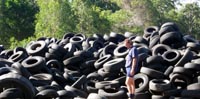 Inspecting Dumped Tyres